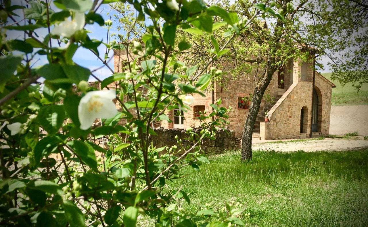 Villa Vento D'Orcia à Pienza Extérieur photo