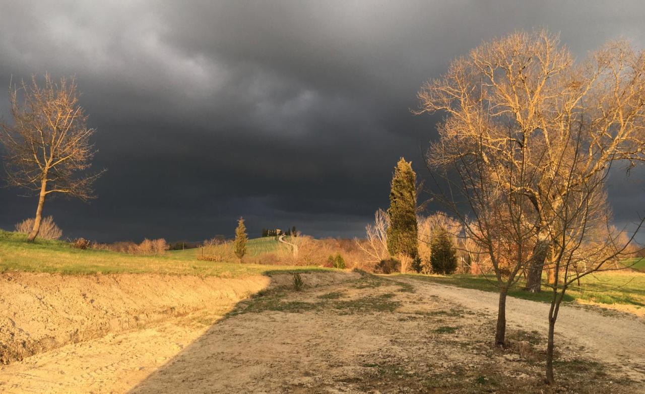 Villa Vento D'Orcia à Pienza Extérieur photo