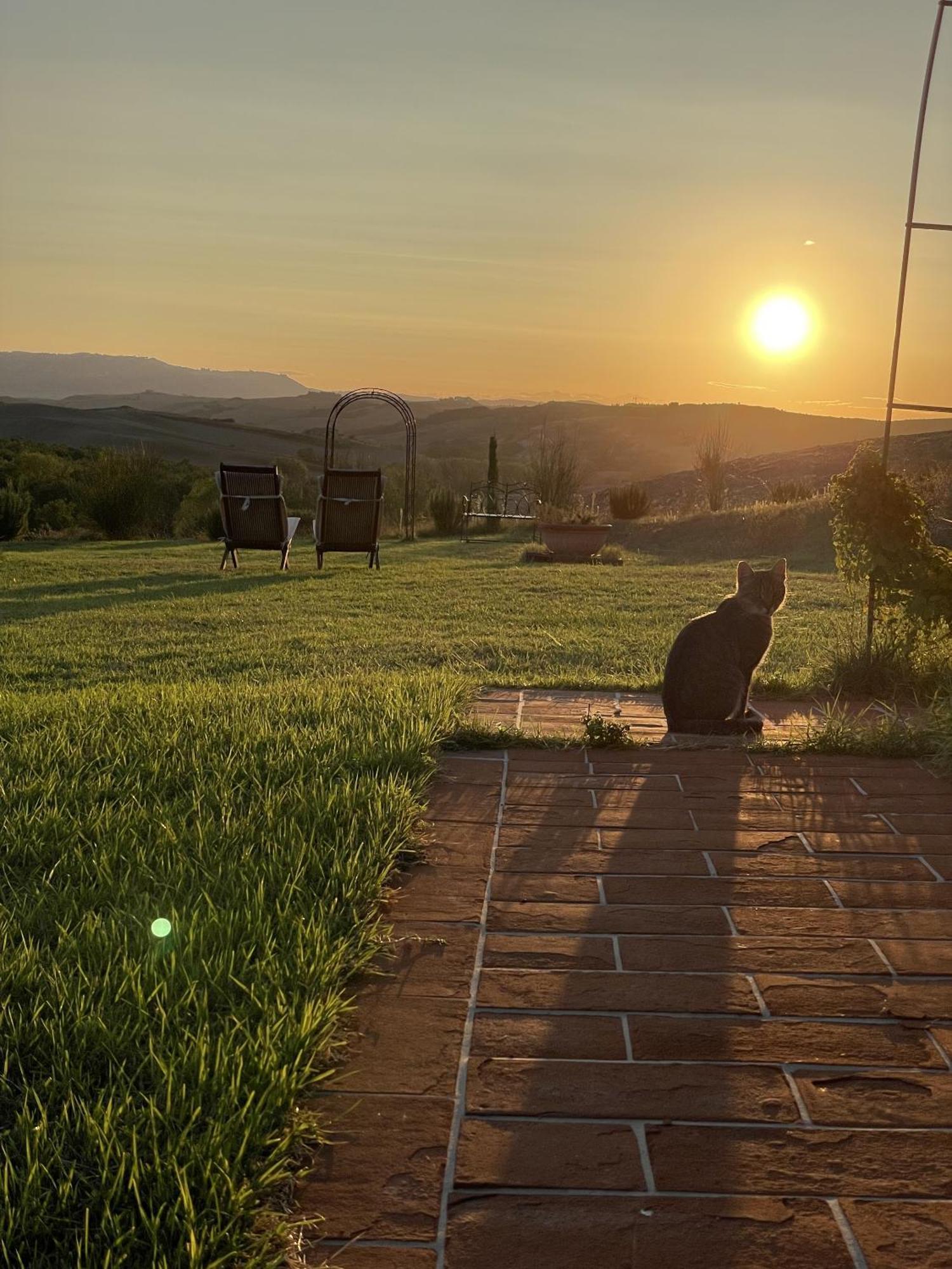 Villa Vento D'Orcia à Pienza Extérieur photo