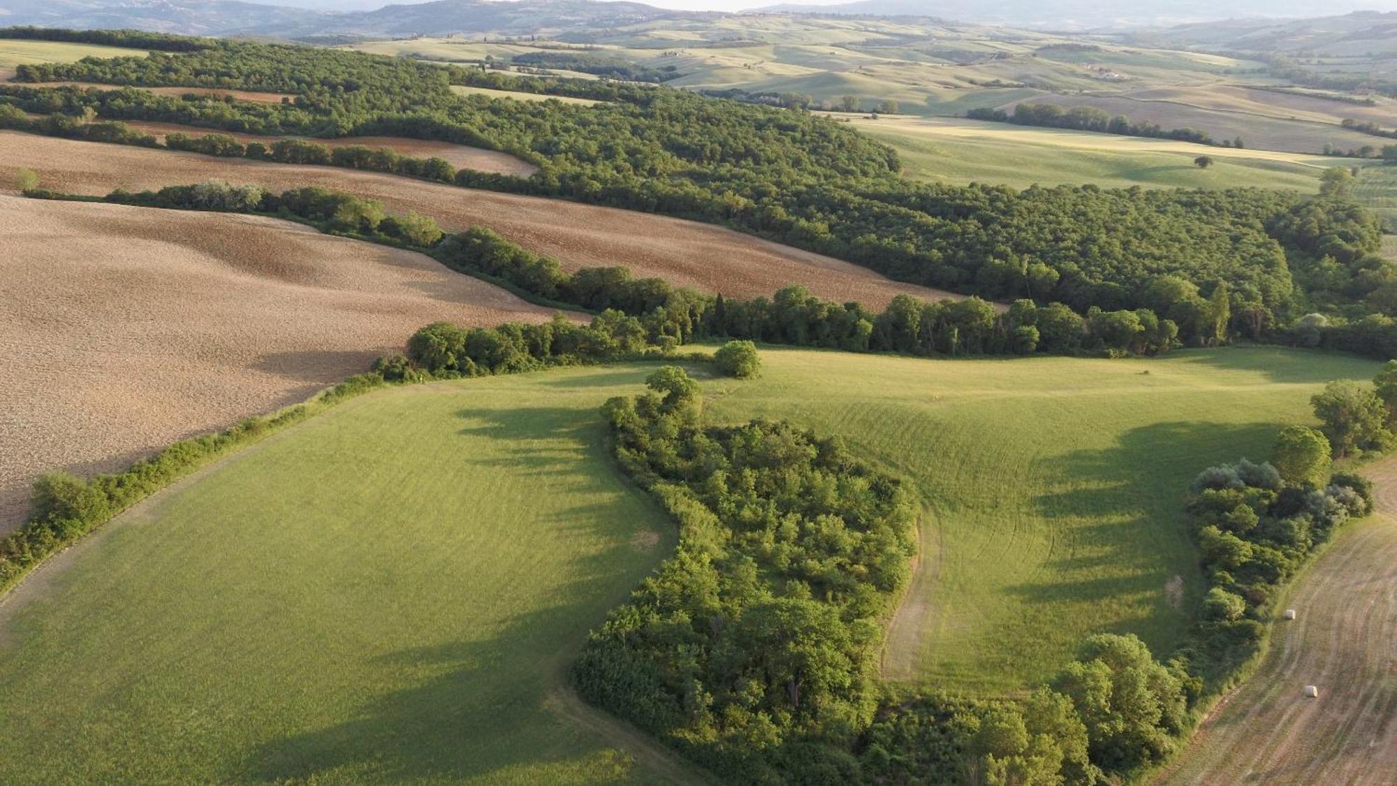 Villa Vento D'Orcia à Pienza Extérieur photo