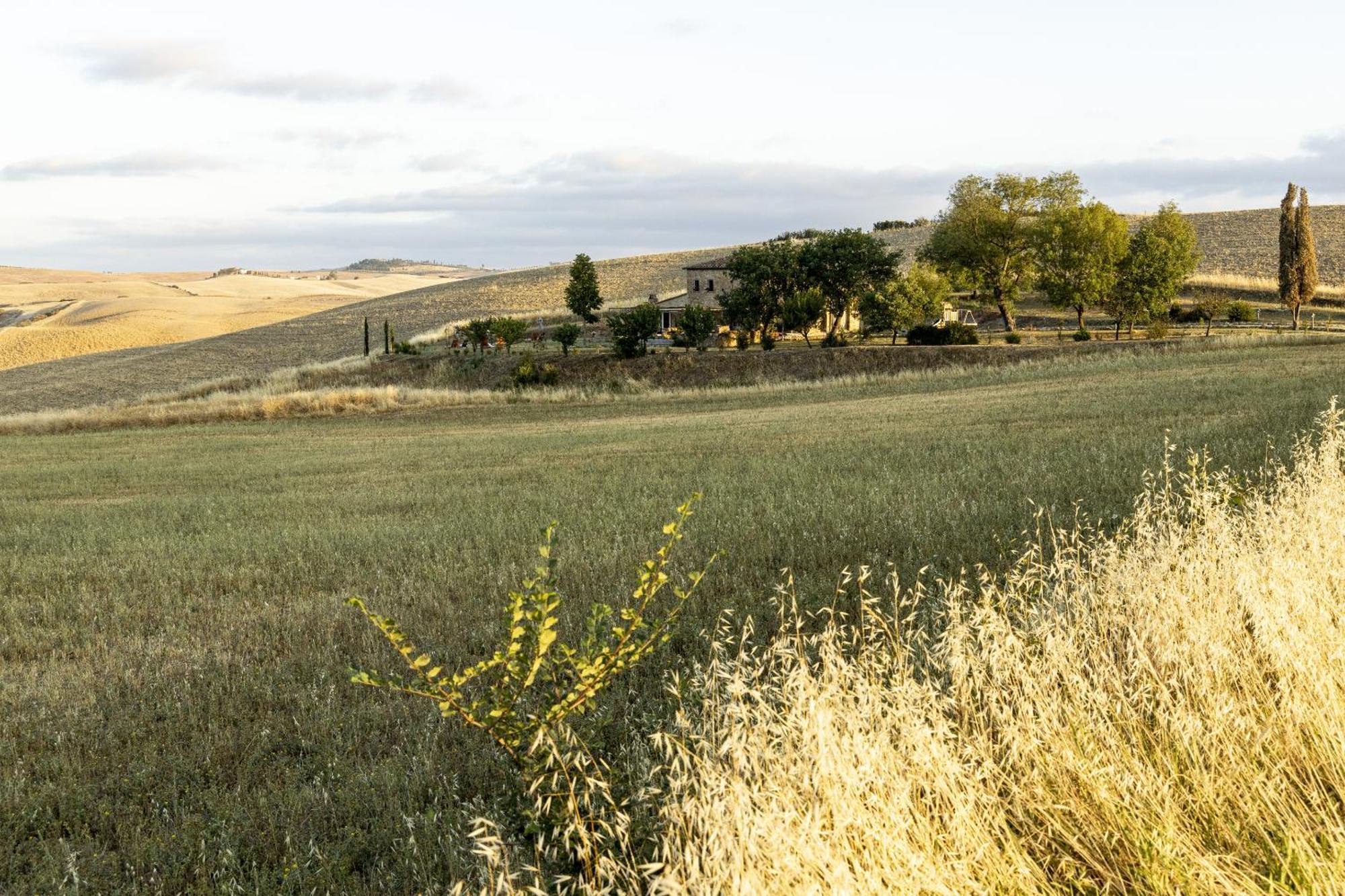 Villa Vento D'Orcia à Pienza Extérieur photo